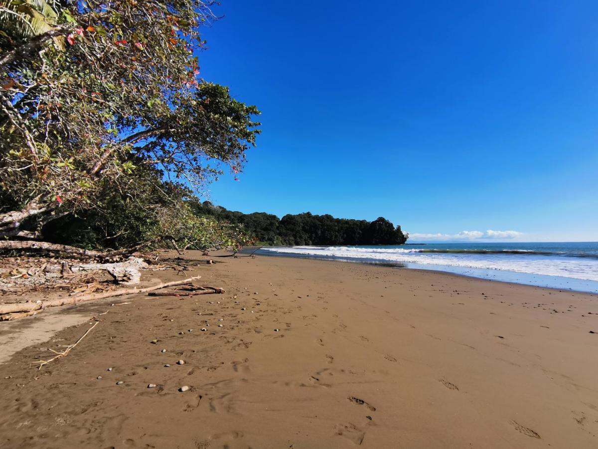 Elan At Ballena Beach Uvita Bagian luar foto