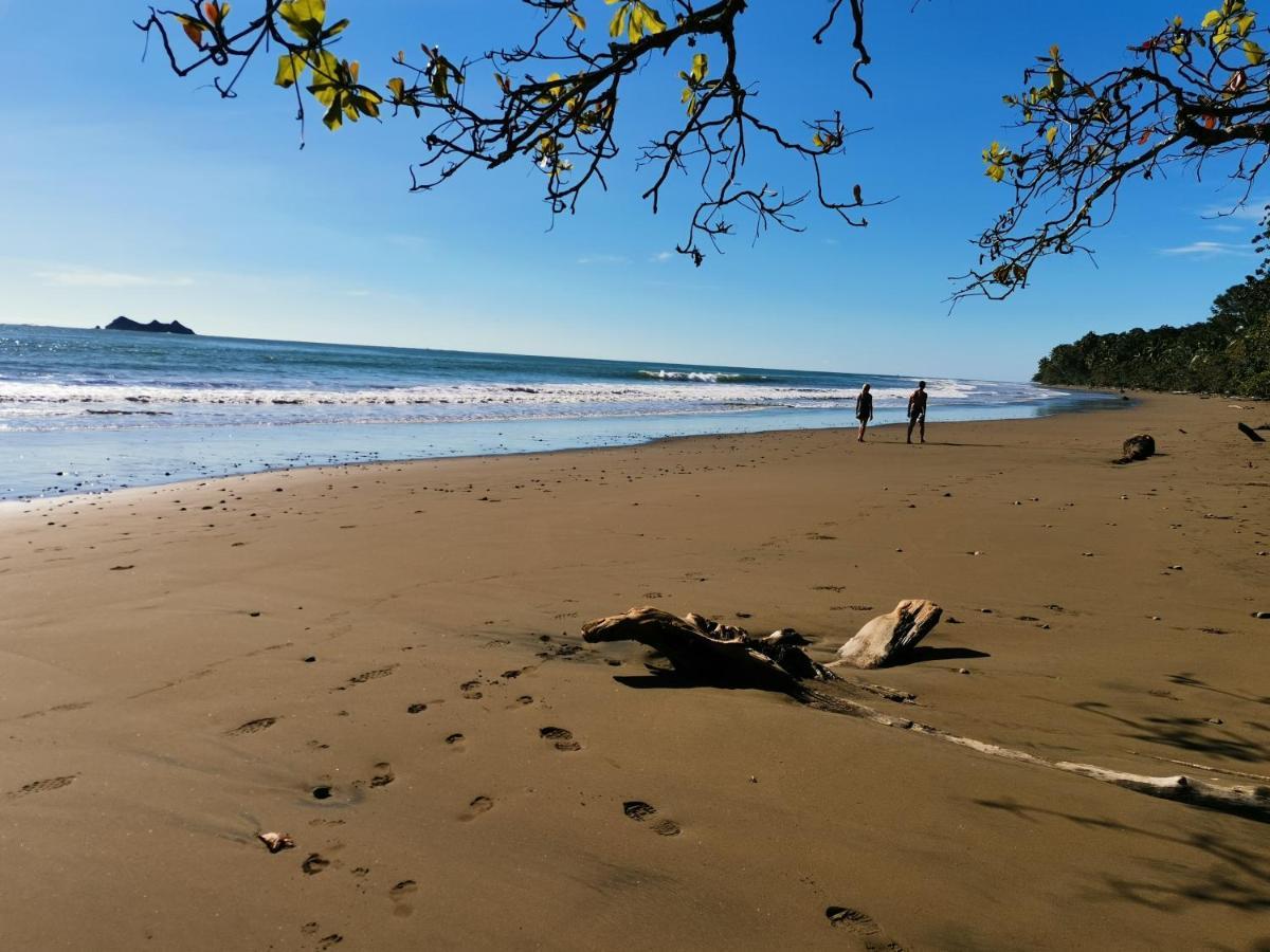 Elan At Ballena Beach Uvita Bagian luar foto